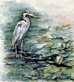 Heron with Lillies
