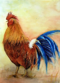 Rooster (sold)