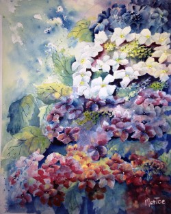 Hydrangea Vertical View with White (sold)