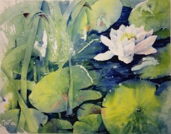 Water Lily I (sold)