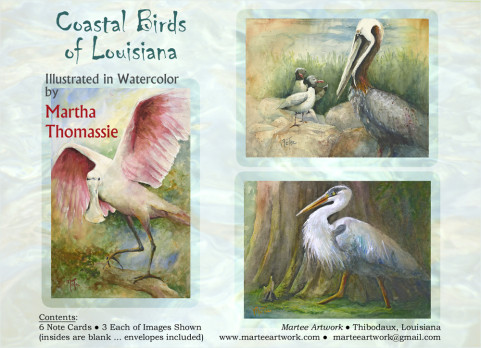 Coastal Birds of Louisiana