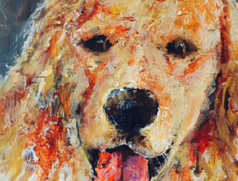 Baronet Dog Portrait
